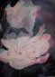 Keira's Flowers, Oil Stick, Marcella Wheatley